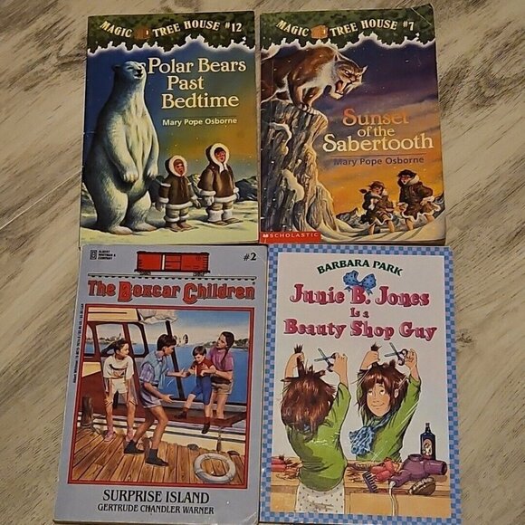 Chapter Book Lot Instant Library Girls Interest Babysitters Mary Kate Homeschool - Picture 9 of 12